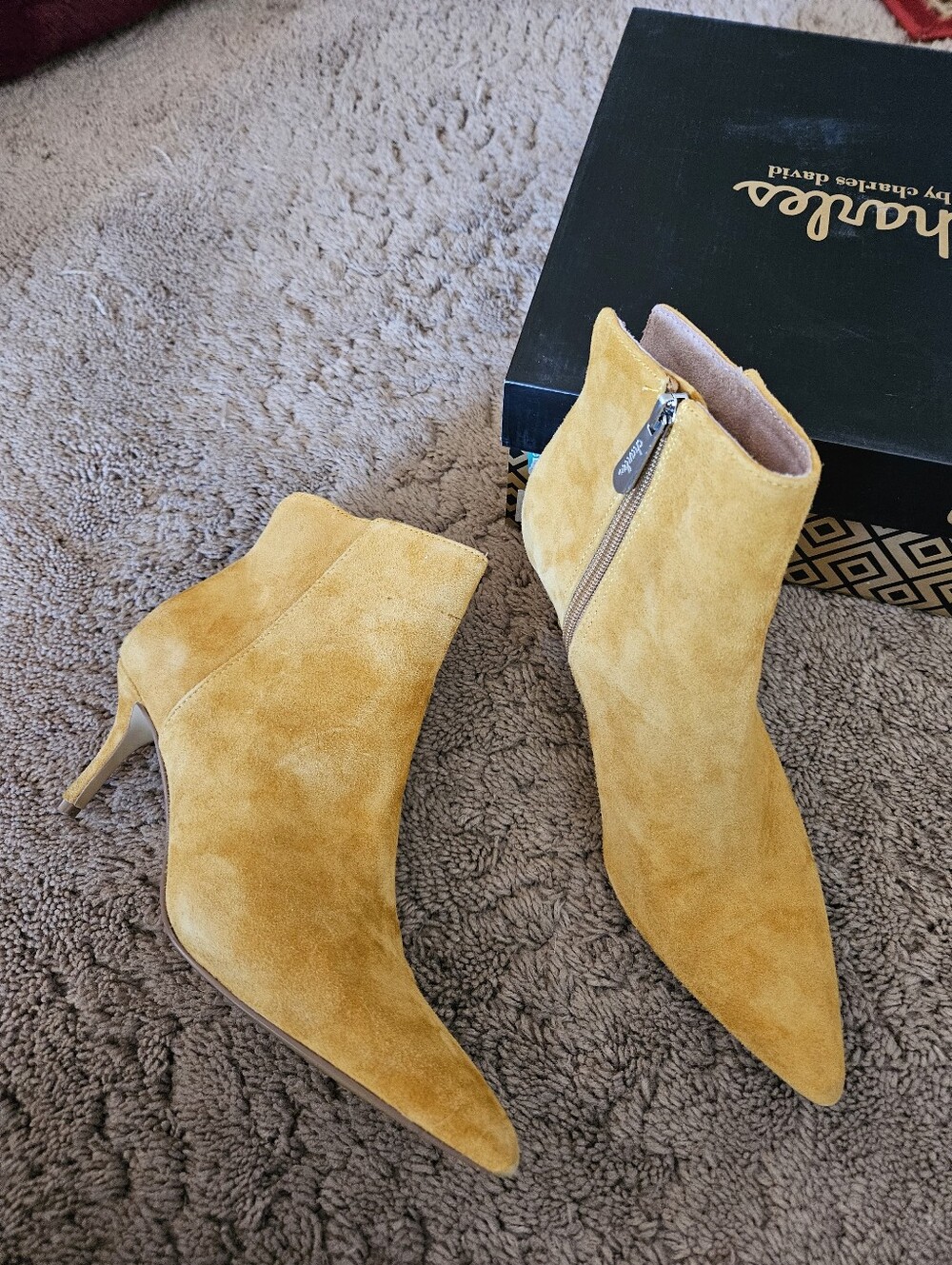 NICE ☆ Charles David Ankle Boots, Size 6.5, CUTE!